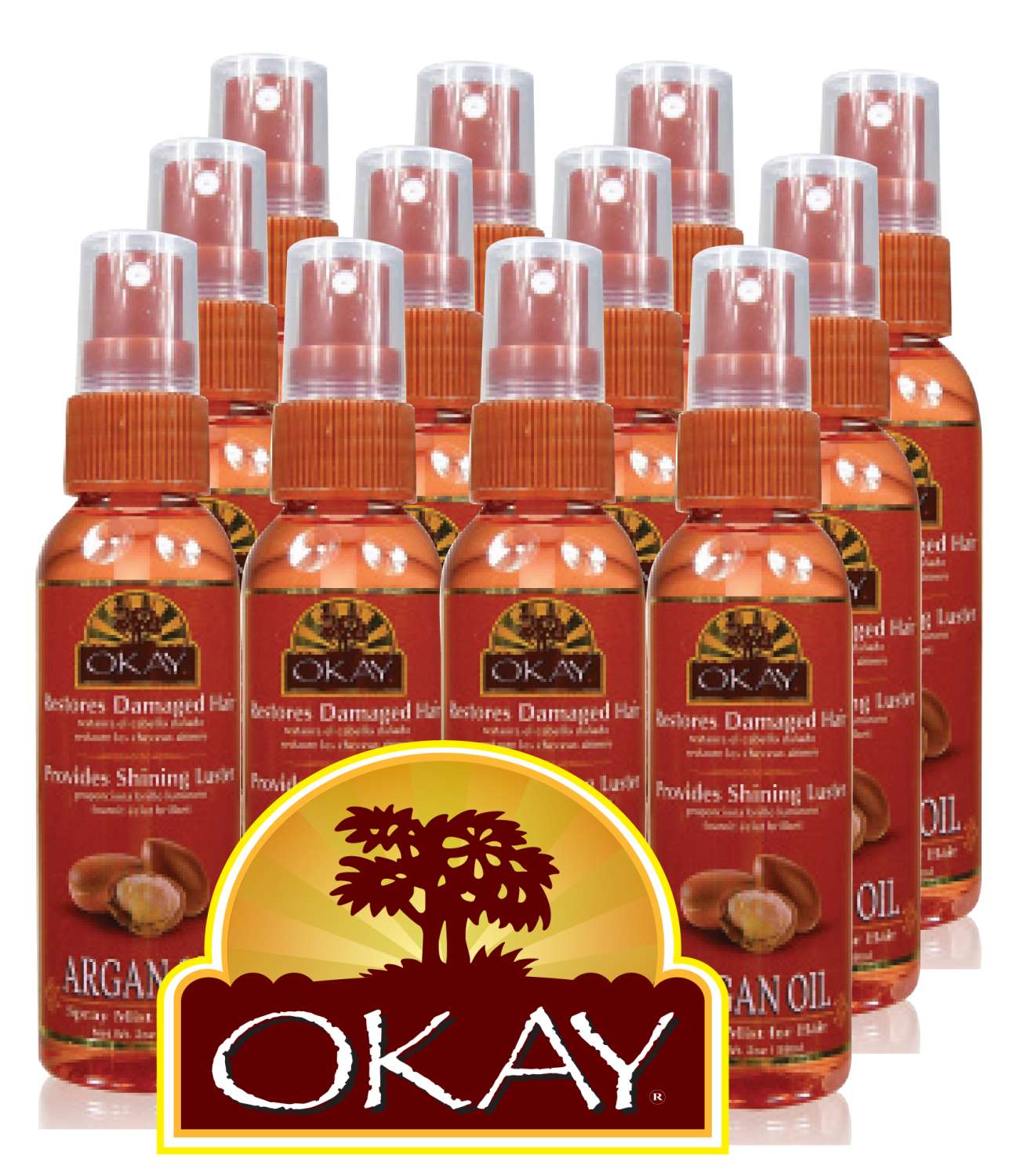 OKAY HAIR MIST ARGAN 12/DP