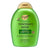 OGX ROSEMARY MINT RS SHAMPOO