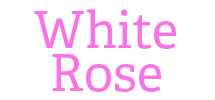 White Rose